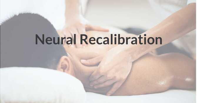Neural Recalibration
